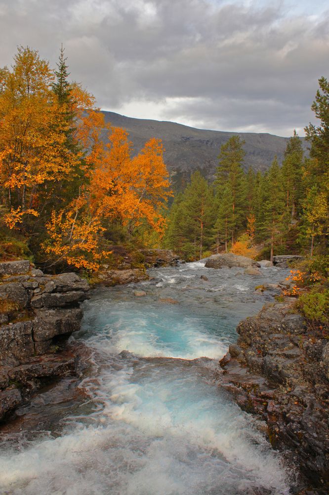 Река Рисйок в осенних Хибинах, Мурманская область.