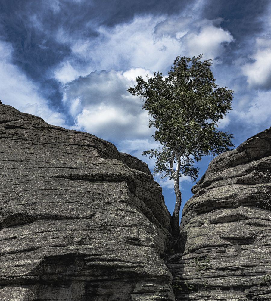 Лиственная сопка.