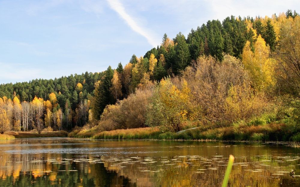 Photograph by Галина Мазур