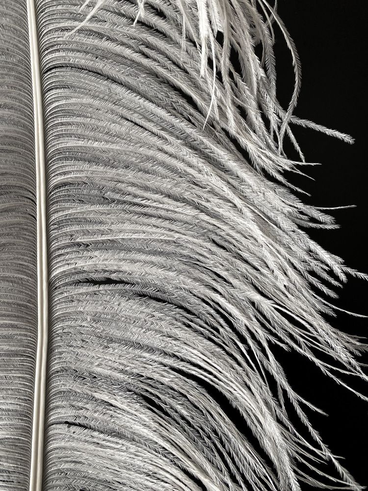 Photograph by Дарья Махнева