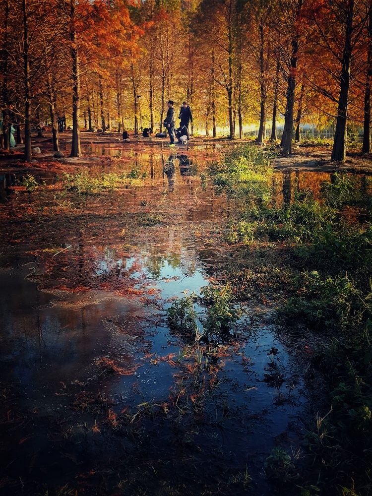 The secret place of autumn reflections