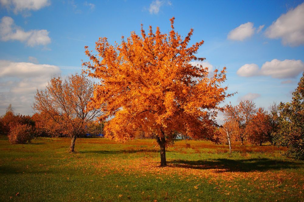 Photograph by Дзонь Андрей