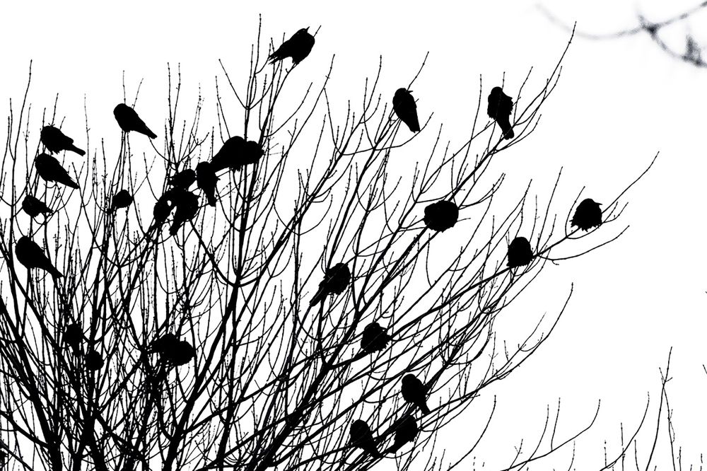 Photograph by Владимир Салапонов