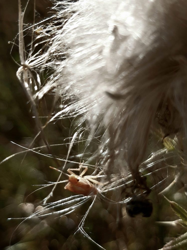 Photograph by Екатерина