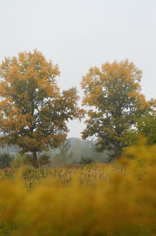 Фотография автора Екатерина Дубовец
