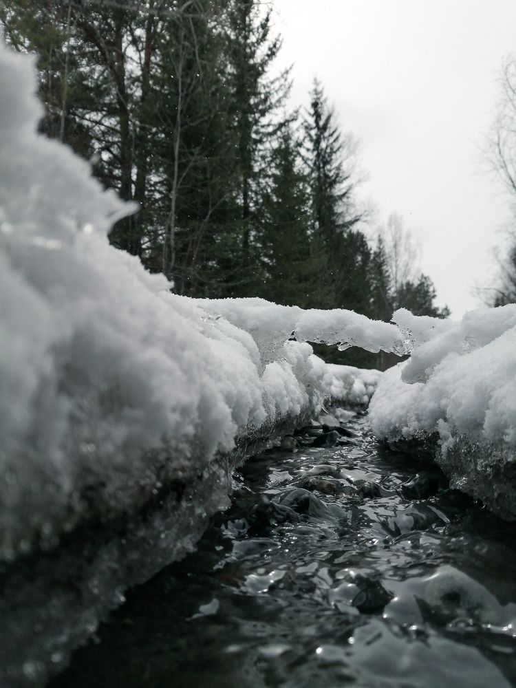 Photograph by Никита Сокольников