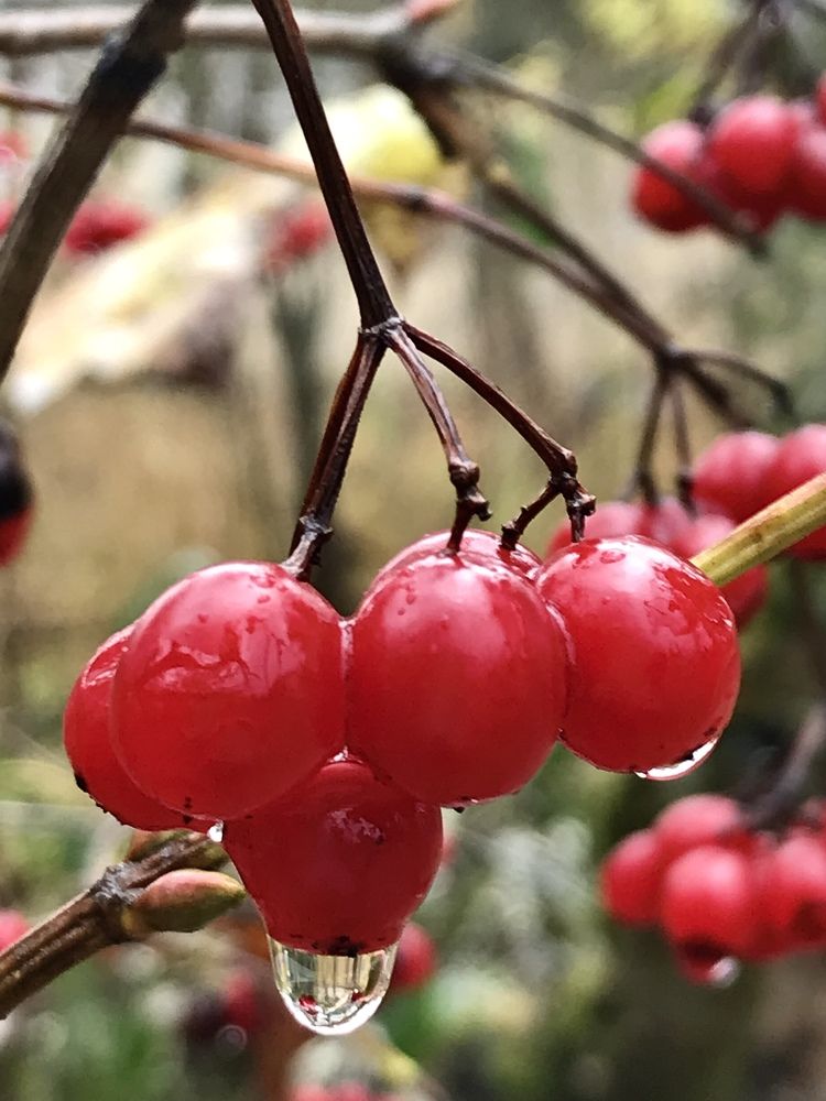 Photograph by Надежда