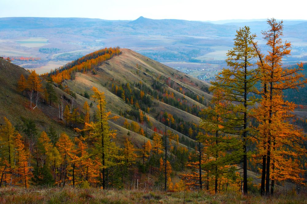 Photograph by Оксана Моргунова