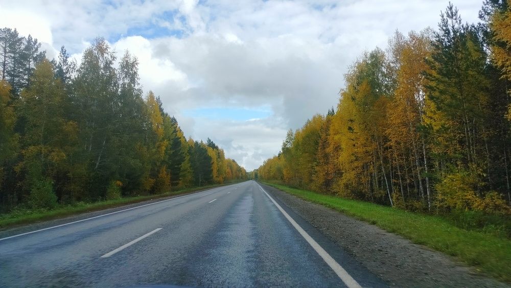 Фотография автора Татьяна Зиновьева