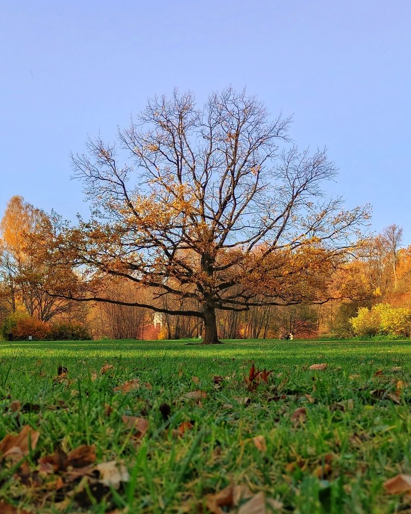 Photograph by Елена