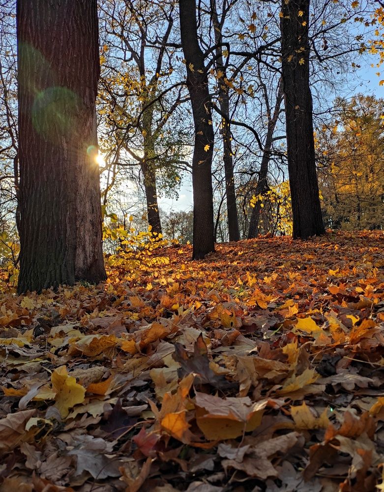 Photograph by Елена