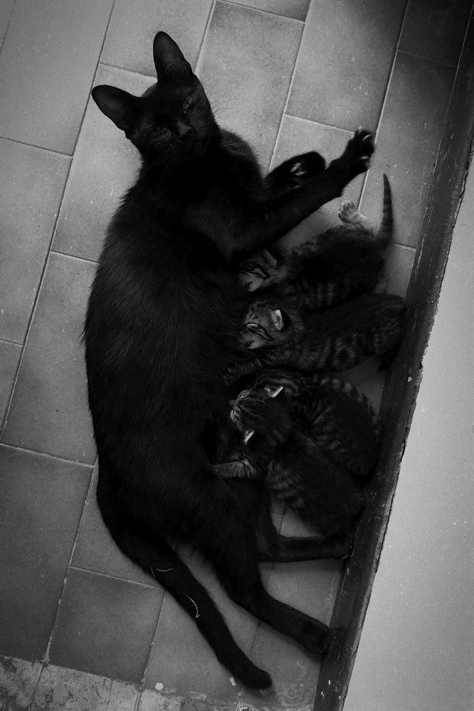 Фотография автора Fethi South Sider