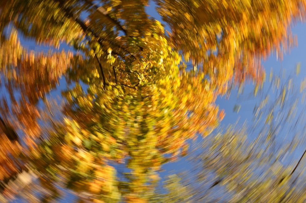 Photograph by Евгений Даниленко