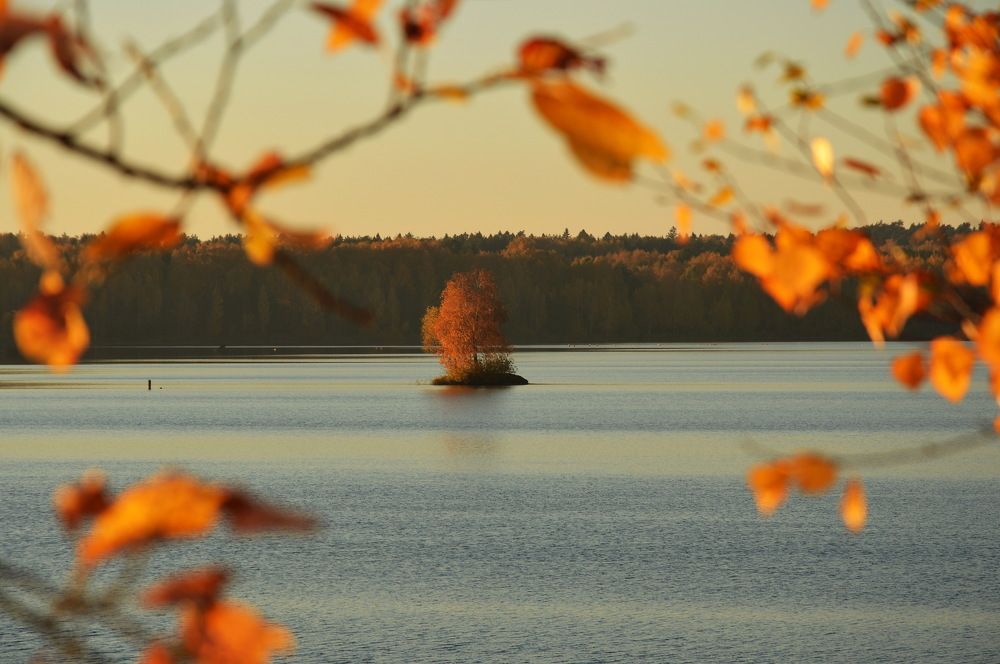 Photograph by Евгений Даниленко