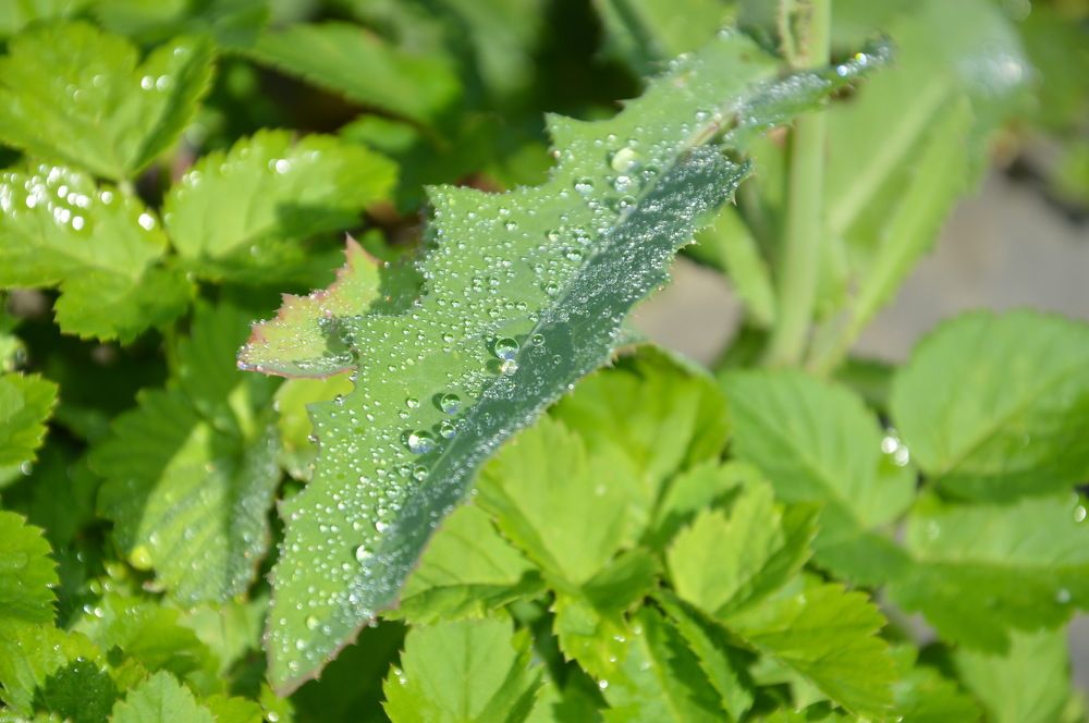 Photograph by Евгений Даниленко