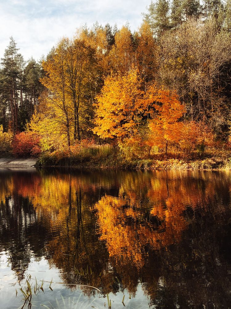 Photograph by Ольга Томашевич