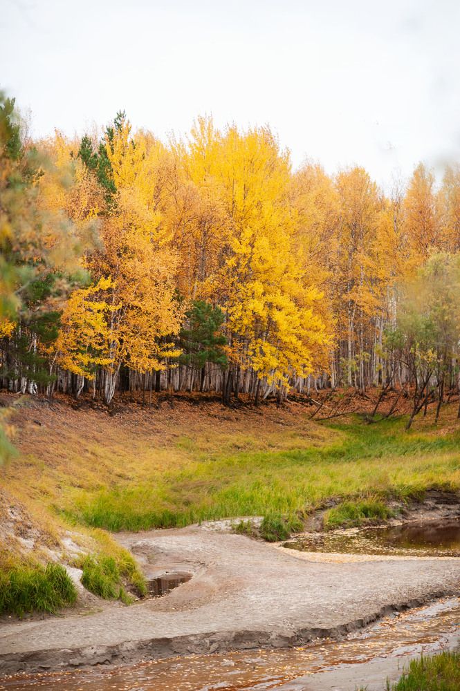 Северная осень...