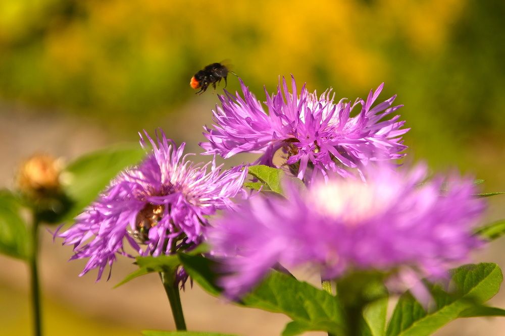 Photograph by Евгений Даниленко