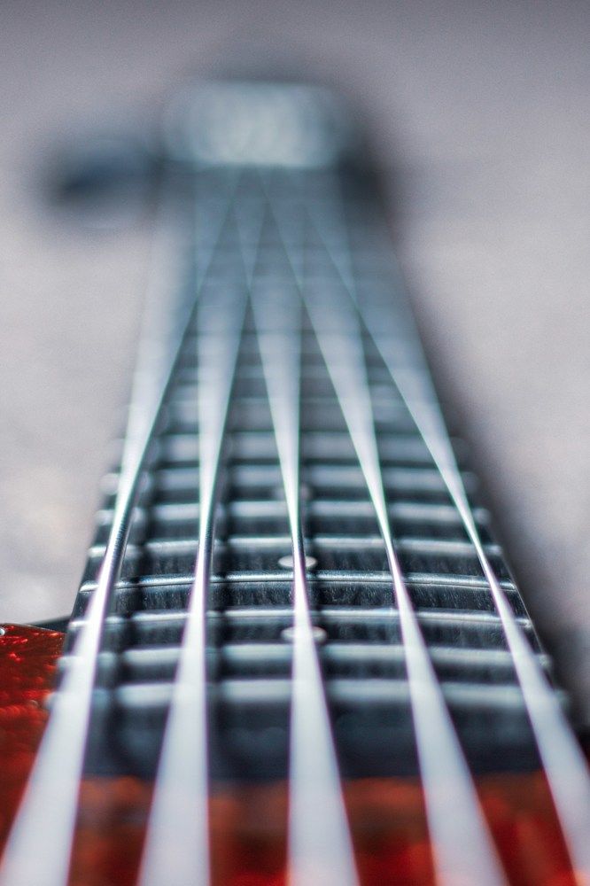 Фотография автора Полина Мешалкина