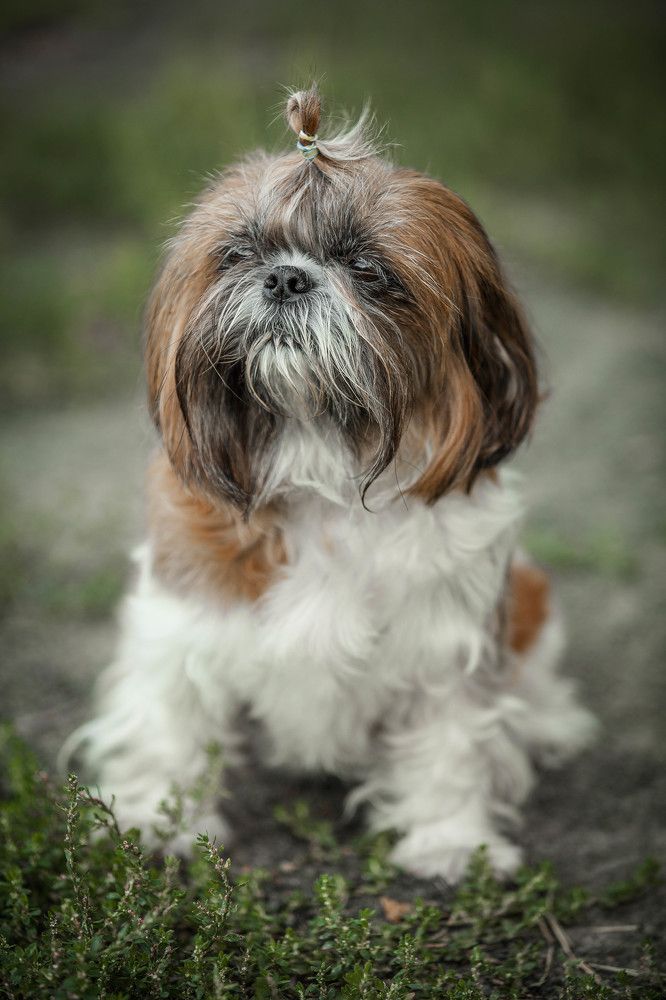 Фотография автора ANZHELA