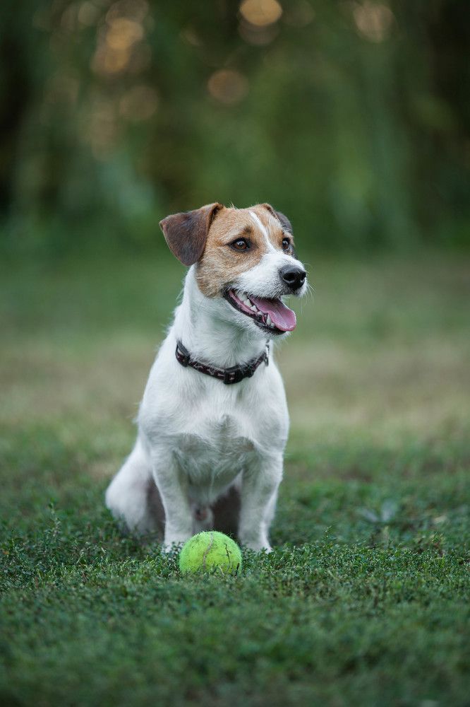 Фотография автора ANZHELA