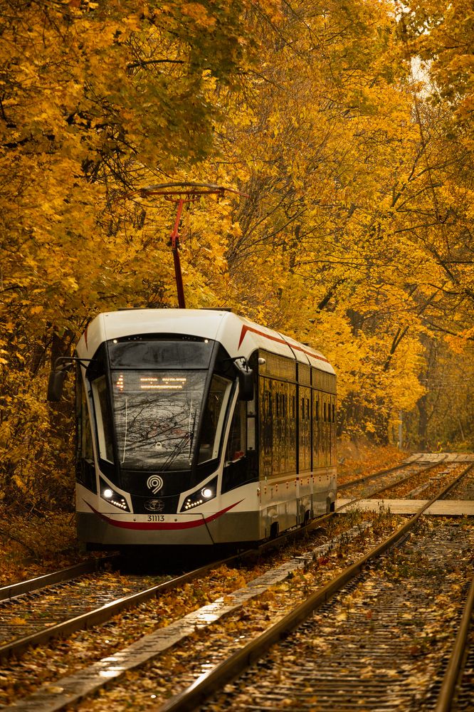 Photograph by Дмитрий Ефимов