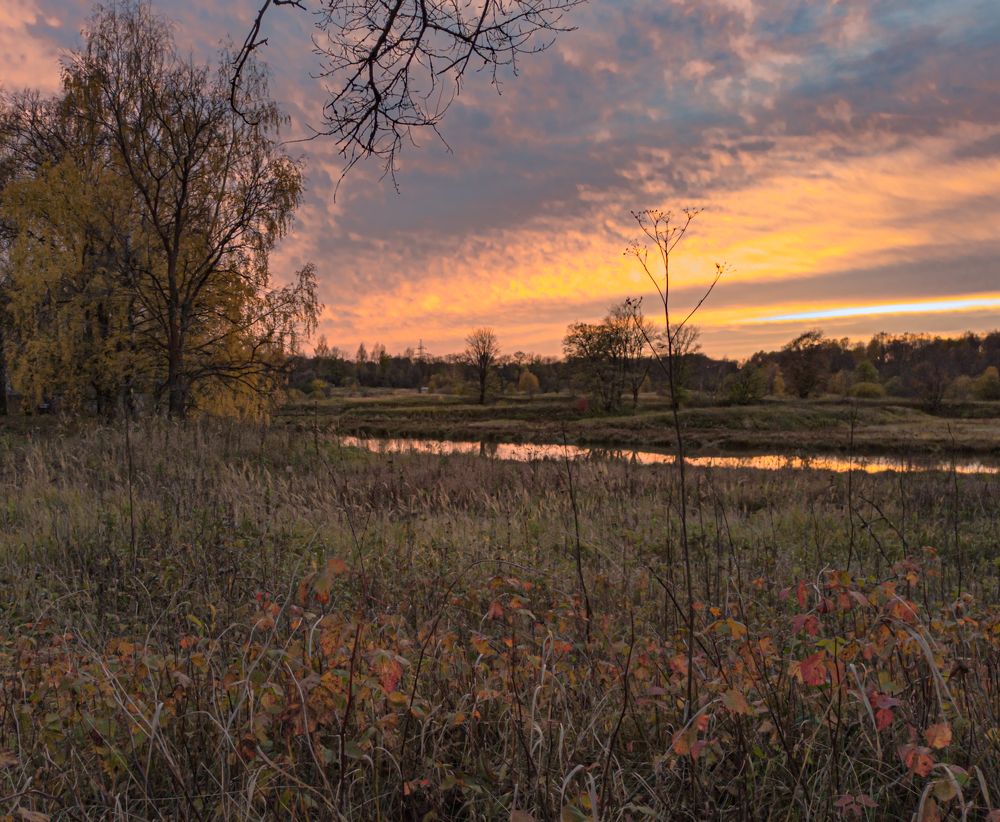 Фотография автора Швайко Михаил