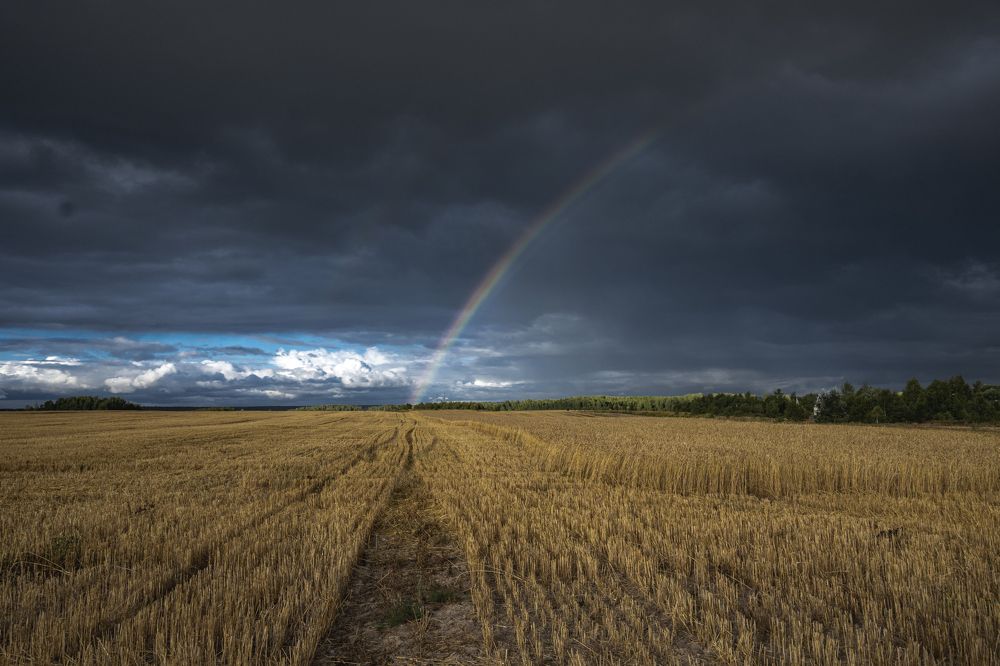 Photograph by Adler Roman