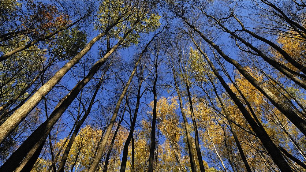 Photograph by Вячеслав Швецов