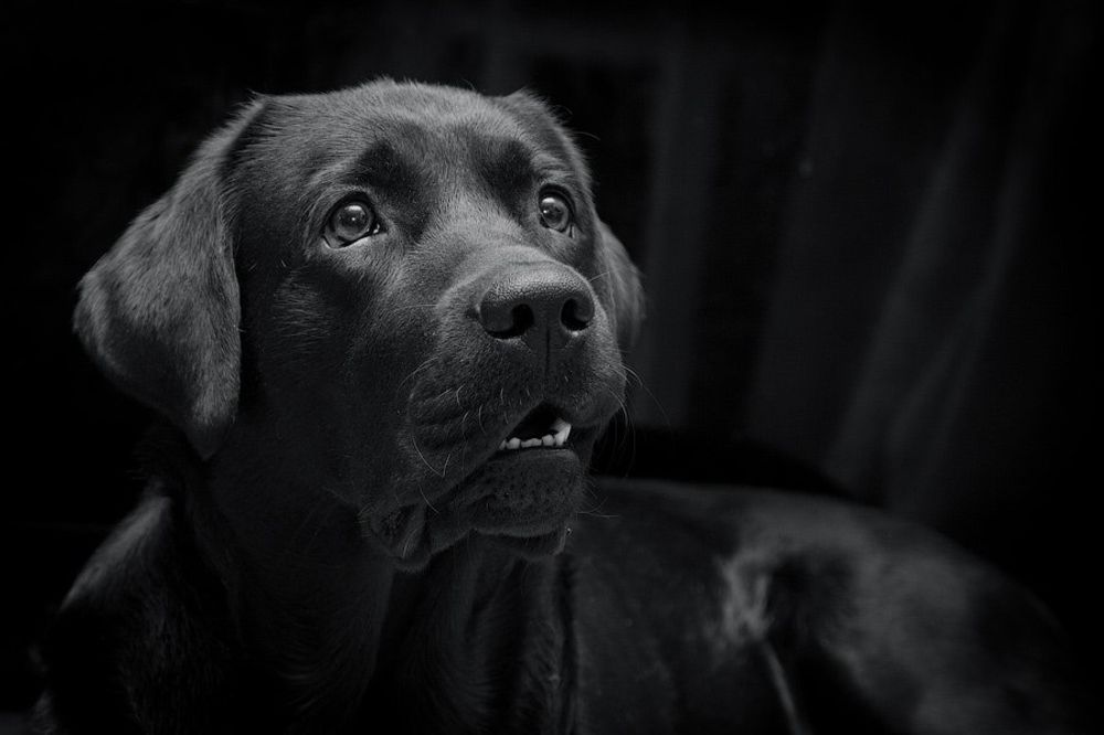 Photograph by Людмила Манохина