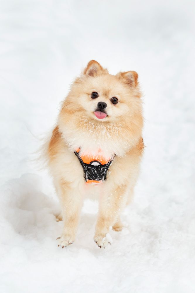 Photograph by Людмила Манохина