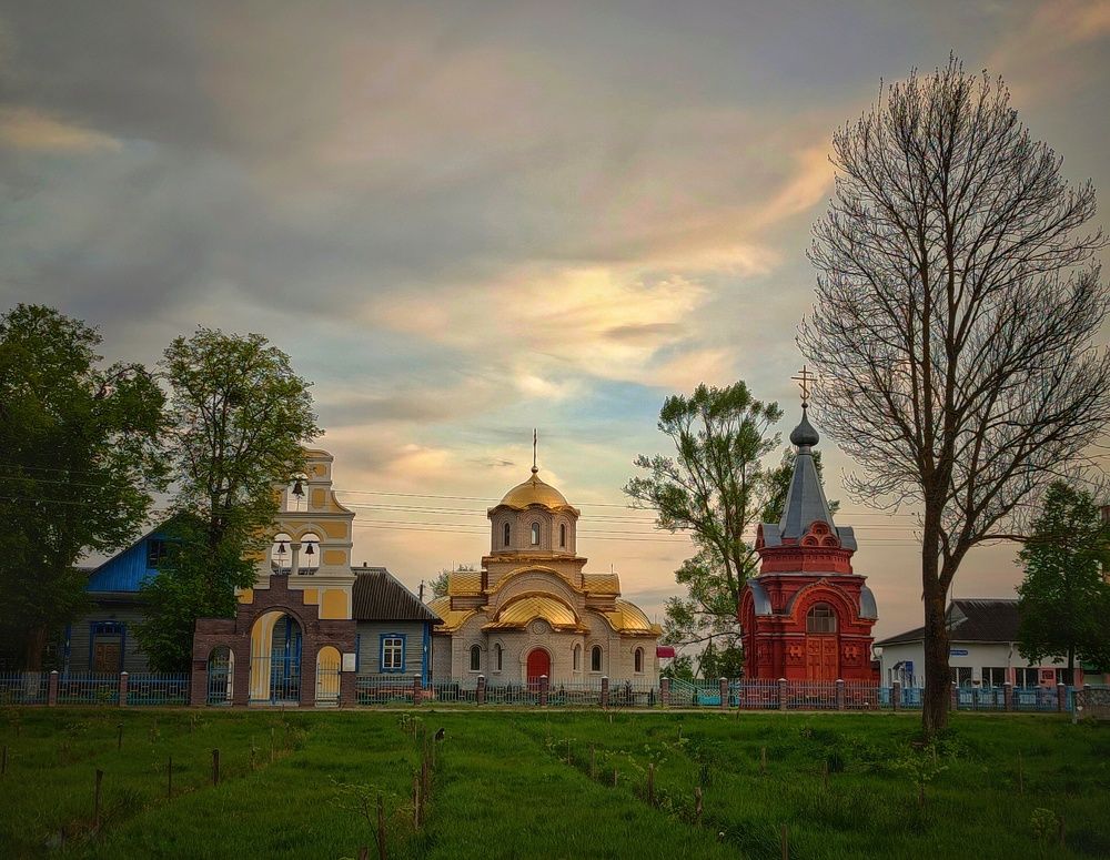 Фотография автора Ольга Сорокина