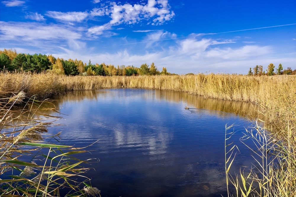 Фотография автора Дмитрий