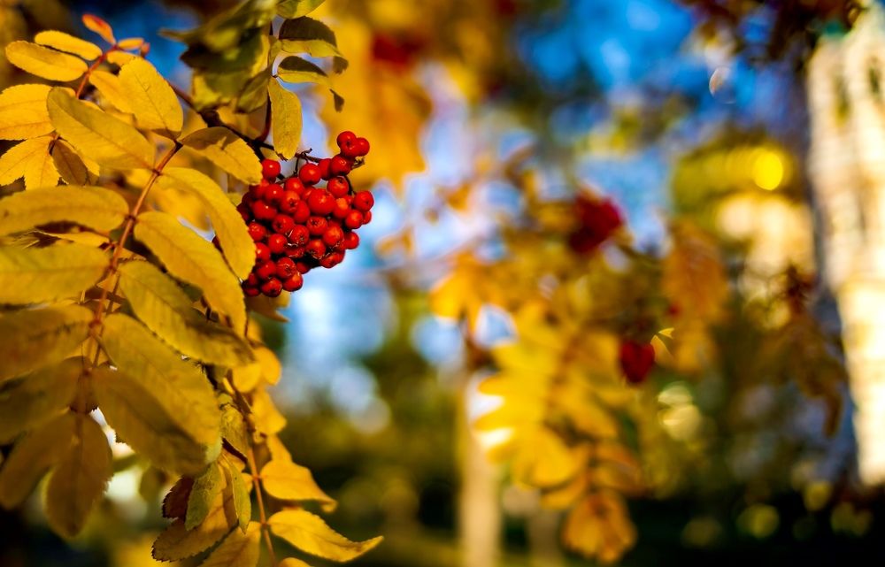 Photograph by Дмитрий