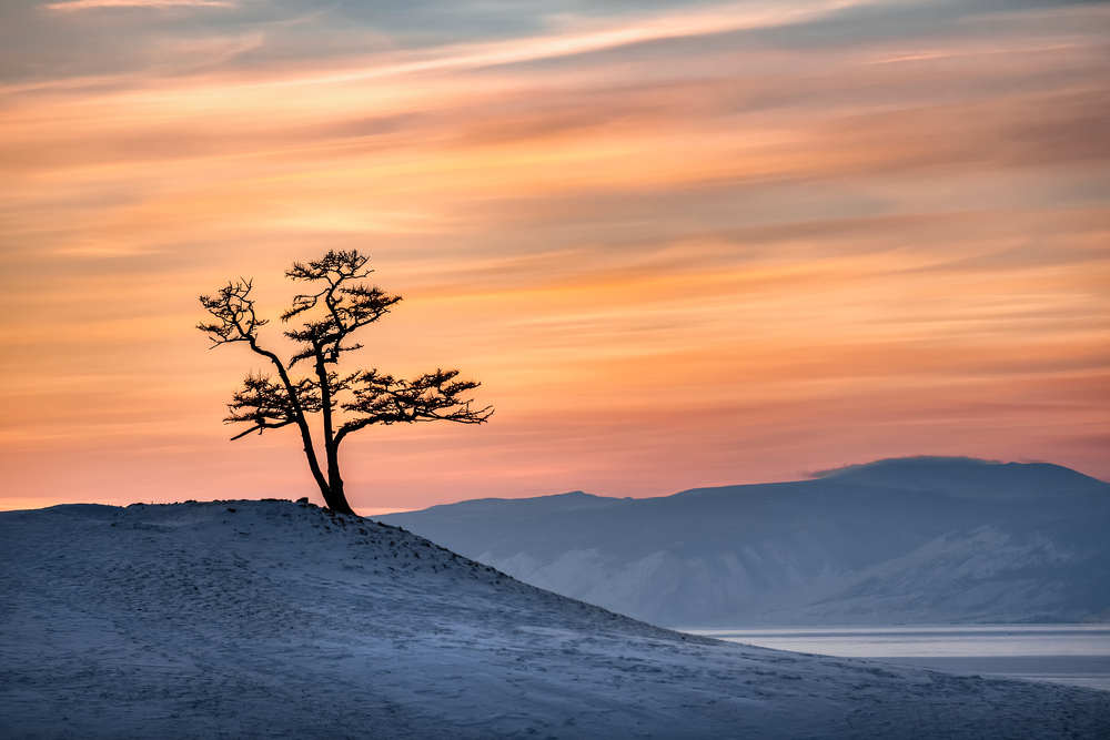 Photograph by Андрей Баскевич