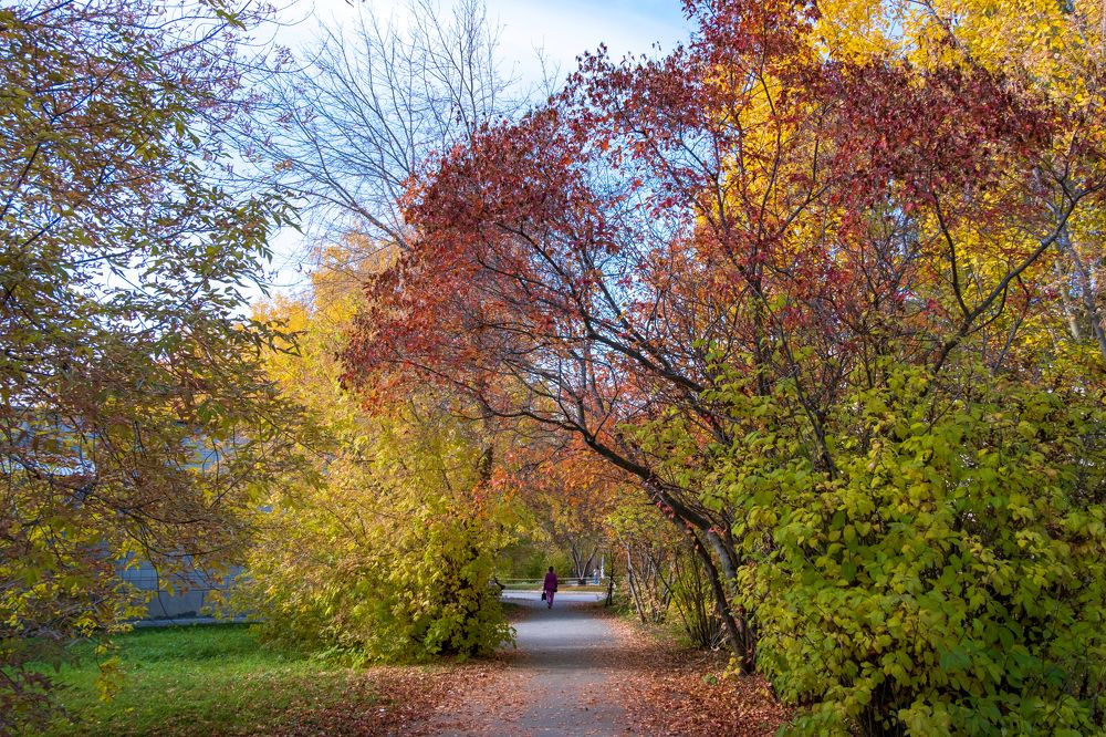 Photograph by Ольга Тюрина