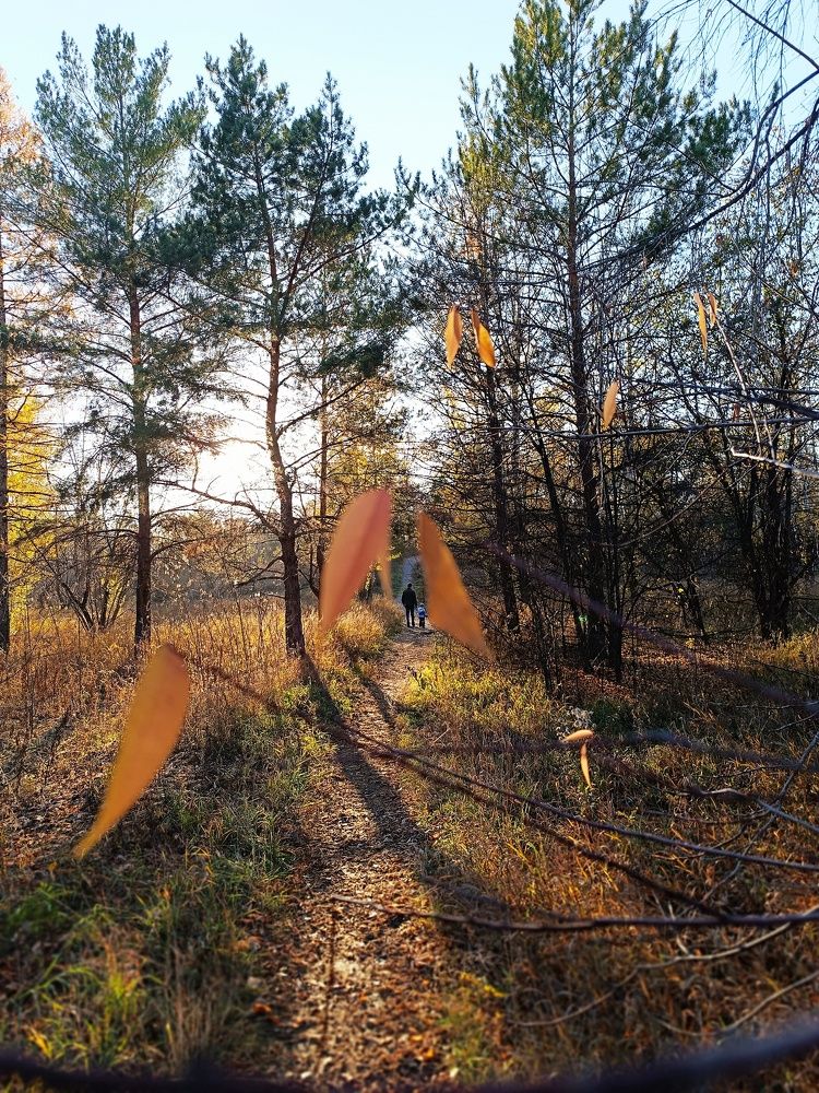 Photograph by Надежда