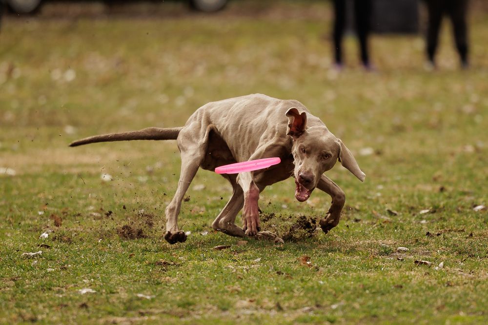 Photograph by Илья Юфа