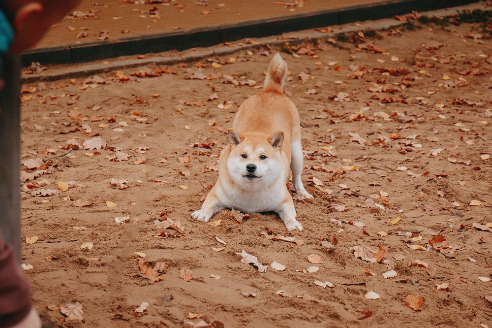 Photograph by Татьяна