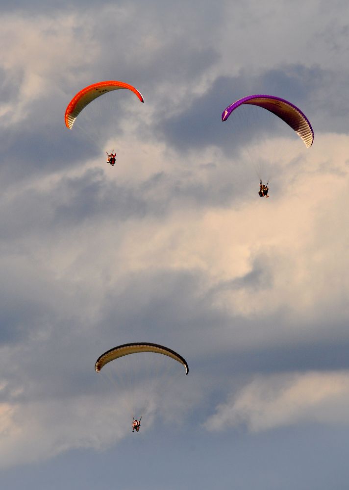 Photograph by Евгений Самулев