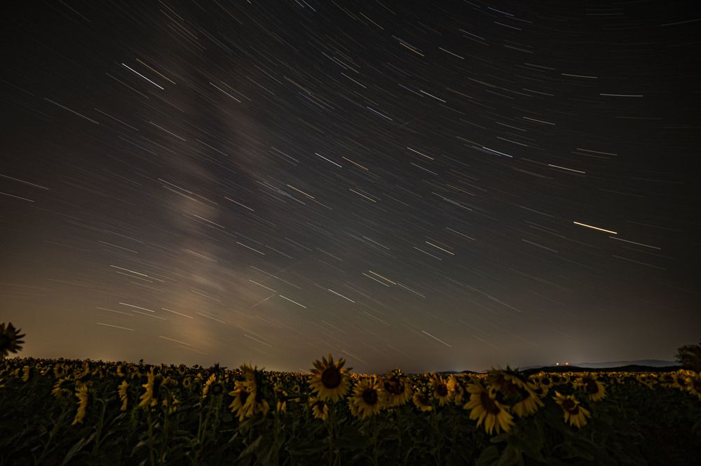 Photograph by Елена Перминова