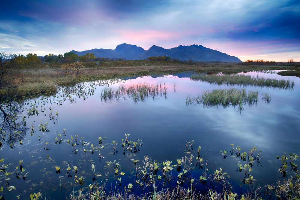 Photograph by Wioleta Pękala