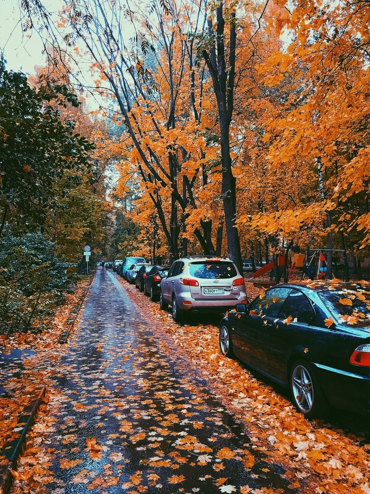 Photograph by Сергей Бойко