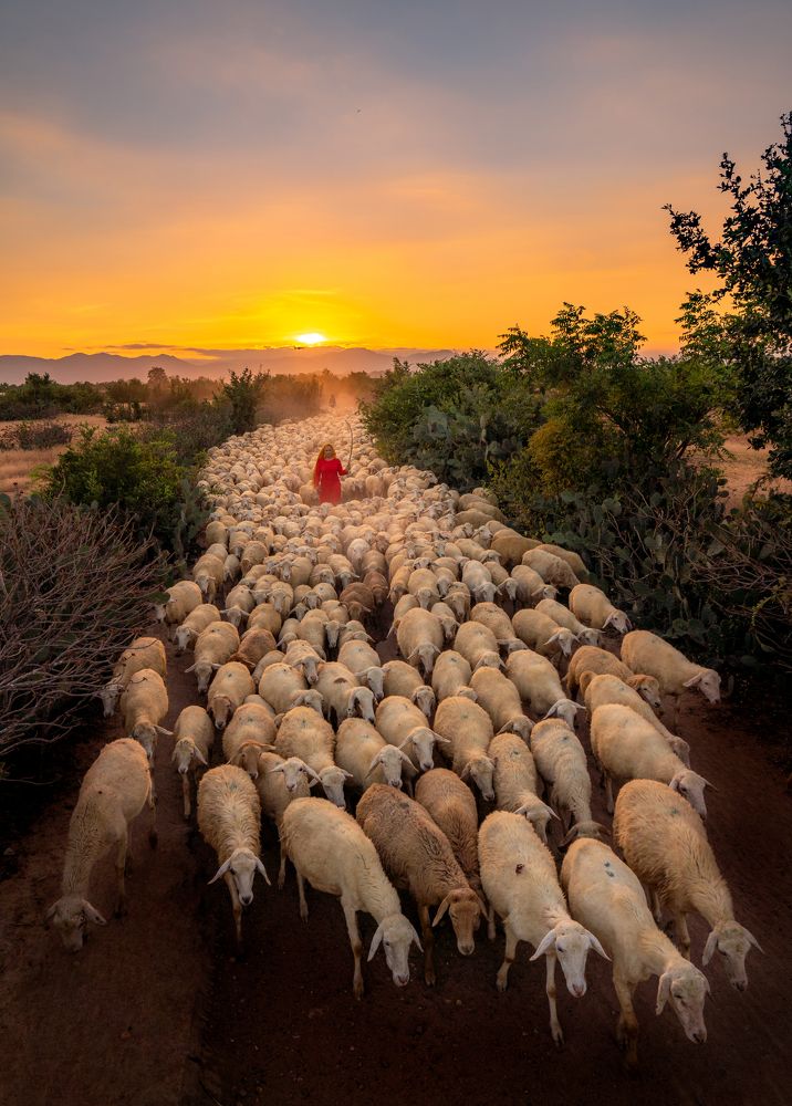 Photograph by Minh Tú Nguyễn