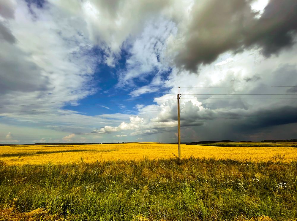 Photograph by Волкова Полина