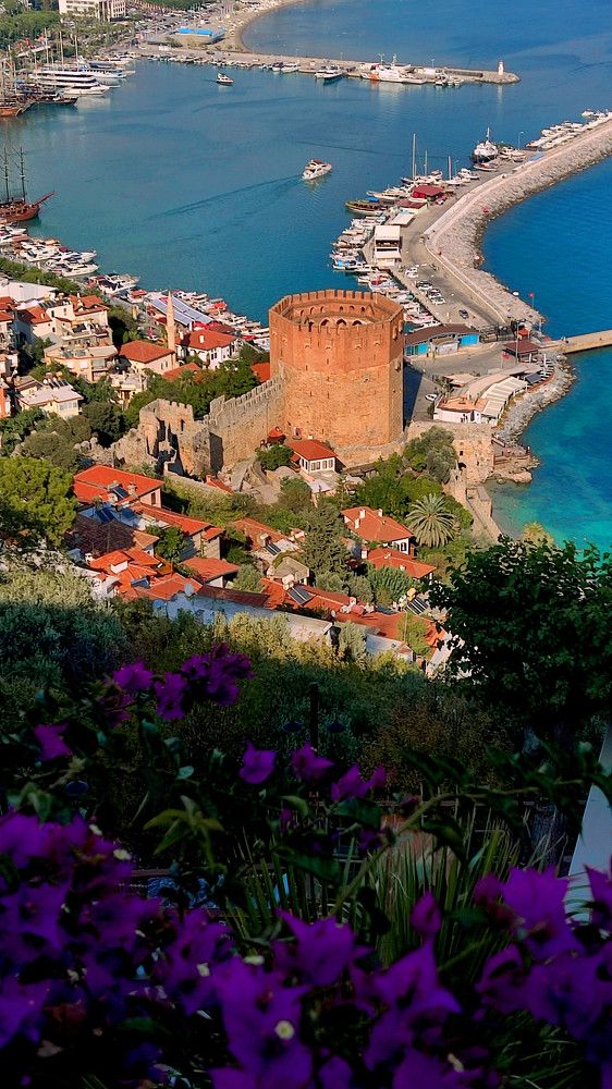 Photograph by Юлия Терентьева