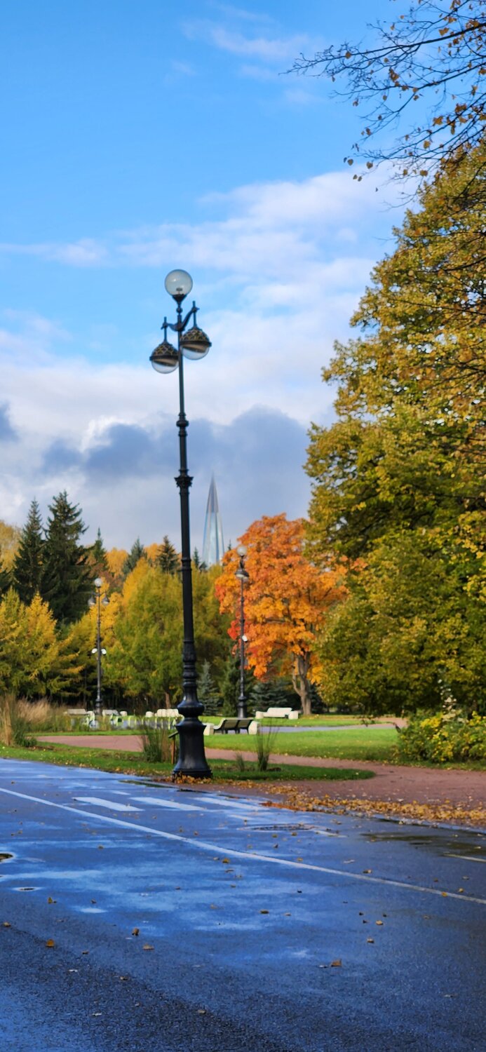 Photo #9718781
