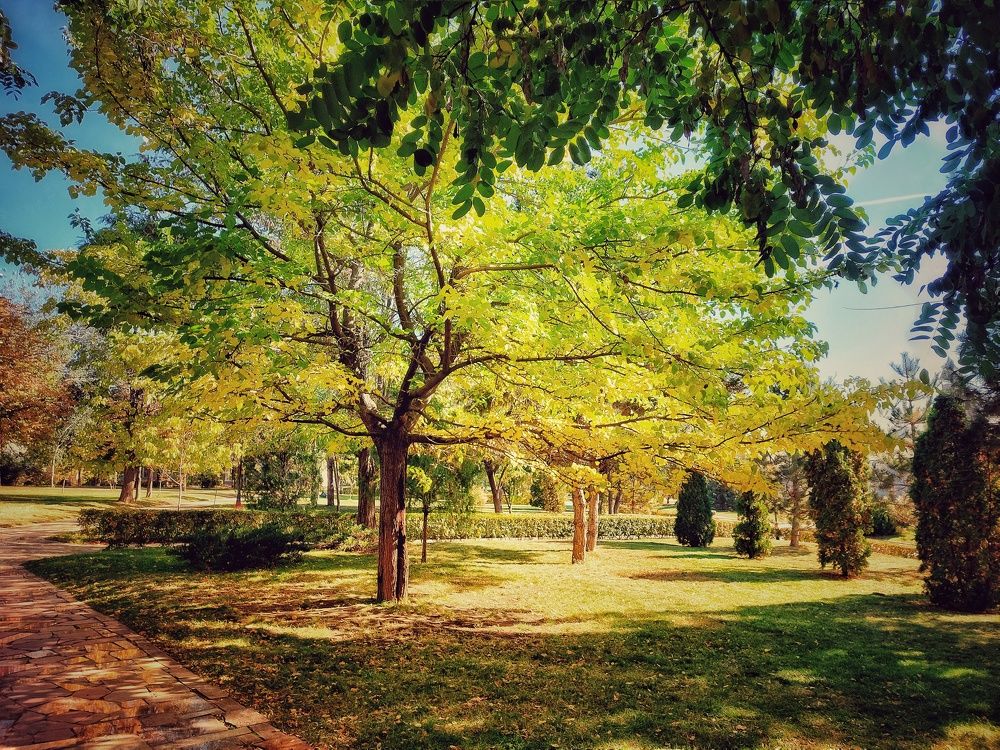 Photograph by Нина Паршина