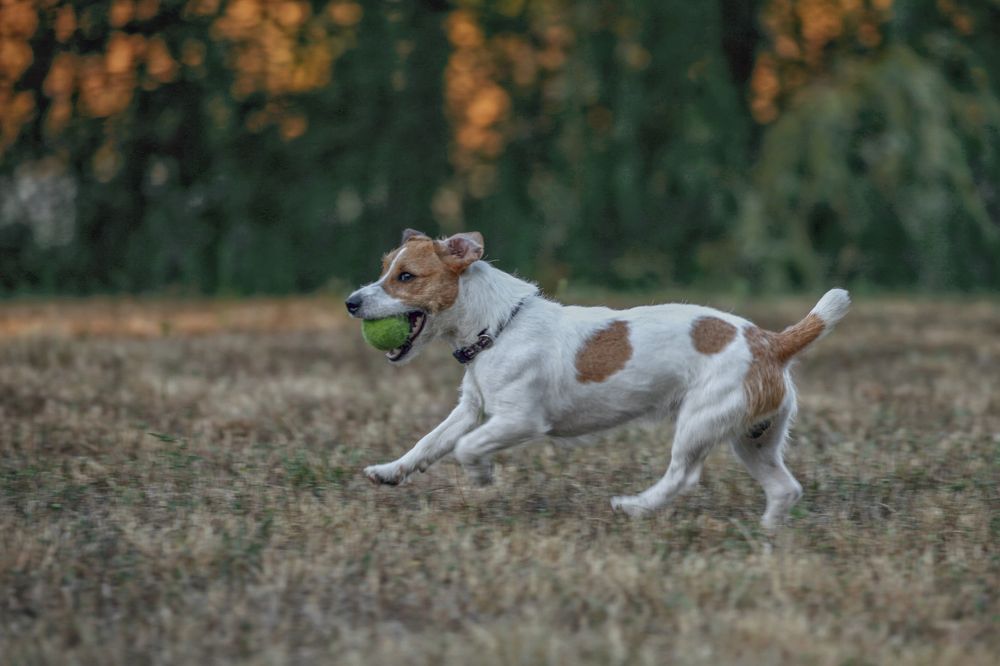 Фотография автора ANZHELA