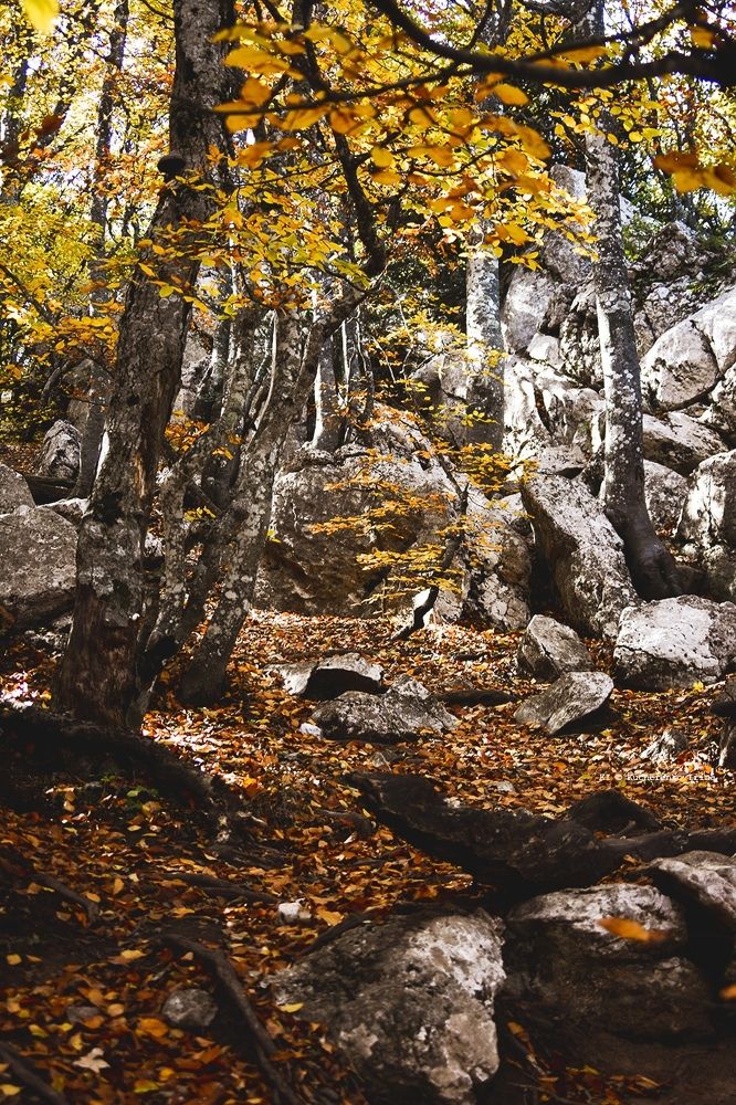 Photograph by Ирина Кучеренко